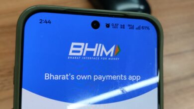 NPCI-backed BHIM app users can now check credit scores in new version