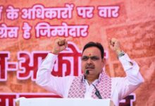 PM Modi will ensure half of population receives full rights, says Rajasthan CM (Ld)