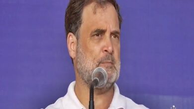 Rahul accuses AIADMK of ‘surrendering’ to BJP, flags threat to TN’s autonomy