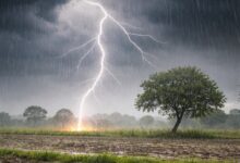 Heatwave grips MP; thunderstorms likely, farmer killed by lightning in Betul