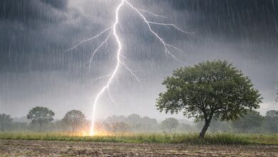 Heatwave grips MP; thunderstorms likely, farmer killed by lightning in Betul