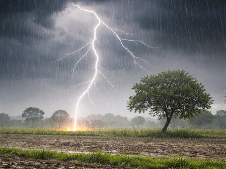 Heatwave grips MP; thunderstorms likely, farmer killed by lightning in Betul