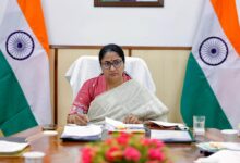 Delhi govt issues SOP, reactivates Green Helpline to curb tree-related offences