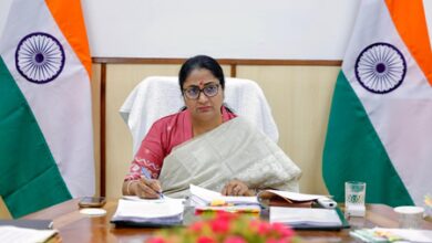 Delhi govt issues SOP, reactivates Green Helpline to curb tree-related offences