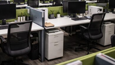 Manipur govt orders strict action against absentee staff amid shutdown protests