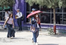 Yellow alert for heatwave in Delhi; temperature set to touch 44 degrees