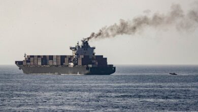 China link seen in Iranian cargo ship seized by US forces: Report