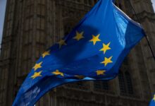 WHO says AI use in health care gaining ground across EU