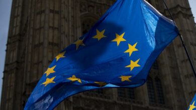 WHO says AI use in health care gaining ground across EU