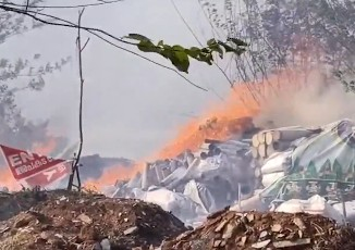 Kerala CM orders emergency response as 12 dead in Thrissur fireworks blast (Lead)