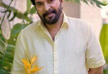 Mammootty on Thrissur tragedy: My heart goes out to the family of the deceased!