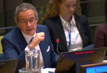 UN Secretary-General candidate Grossi would help move along UNSC reform