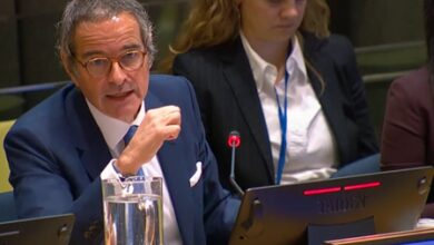 UN Secretary-General candidate Grossi would help move along UNSC reform