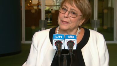 UN Secretary-General candidate Bachelet to ‘push as much as possible’ for UNSC reforms