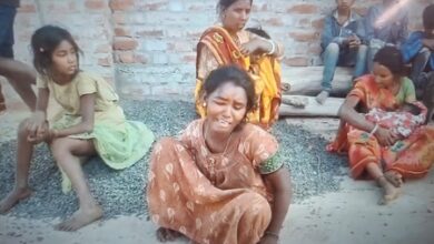 Two killed in fresh elephant attack in Jharkhand’s Koderma, herd wreaks havoc in Seraikela