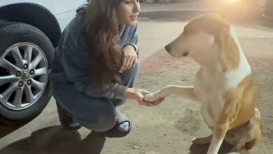 Rasha Thadani stresses the importance for protecting animals this ‘Earth Day’