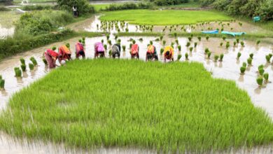 Women have only 3.6 per cent of Pakistan’s industrial sector jobs