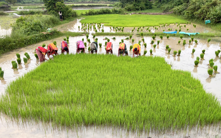 Women have only 3.6 per cent of Pakistan’s industrial sector jobs