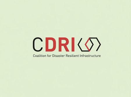 CDRI calls for investment in disaster resilient infrastructure