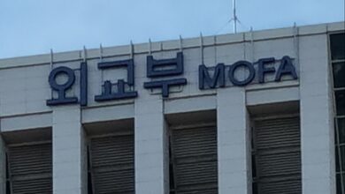 South Korea says ‘fully implementing’ non-discrimination pledge for US firms after Republican letter