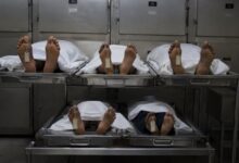 Andhra man, two children crushed under train hours after he killed wife, mother