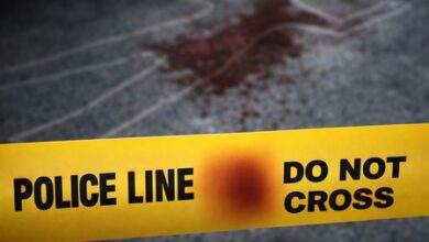 Online gaming losses emerge as key link in Delhi murder, Alwar rape case