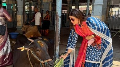 Shamita Shetty feeds cows at Tirupati, Shilpa Shetty says ‘You ARE blessed’