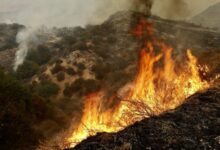 Japan wildfire uncontained, scorching nearly 1,200 hectares