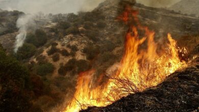 Japan wildfire uncontained, scorching nearly 1,200 hectares