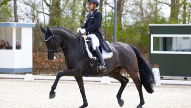 Indian equestrian star Anush Agarwalla bags silver at Concours de Dressage International in Hagen