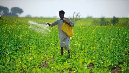 Fertiliser supply strong, stable and above requirement across India: Govt