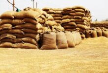 Centre to buy more wheat at MSP to help farmers weather freak rain shock