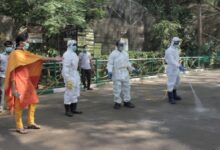 Bird Flu outbreak contained in Bengaluru, no human cases detected: Karnataka Health Dept