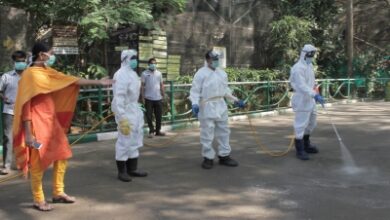 Bird Flu outbreak contained in Bengaluru, no human cases detected: Karnataka Health Dept