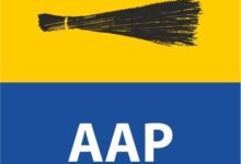 After RS jolt, uncertainty deepens over AAP’s Gujarat prospects