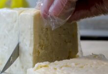 Indian cheese making its mark globally: PM Modi says India’s taste reaching world