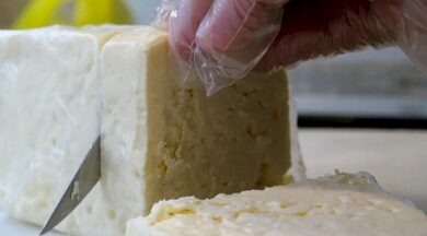 Indian cheese making its mark globally: PM Modi says India’s taste reaching world