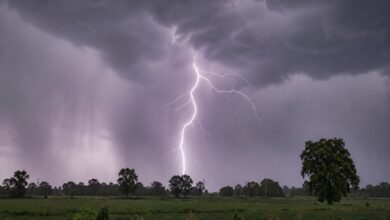 Bihar: Three killed in lightning strikes as storm hits Katihar