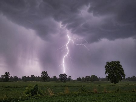 Bihar: Three killed in lightning strikes as storm hits Katihar