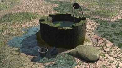 Well at RMP worker’s house in Kerala’s Nadapuram found contaminated, political motive alleged