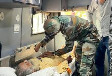 When the heat rises, so do snakebites in Kerala