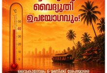 Kerala mulls peak hour power cuts as demand surges to record highs