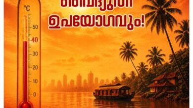 Kerala mulls peak hour power cuts as demand surges to record highs