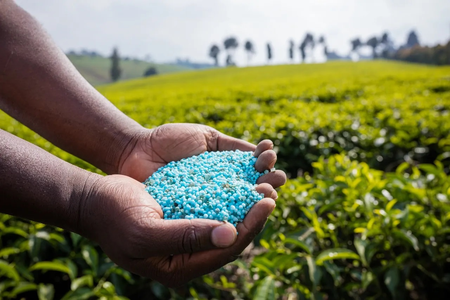 Govt holds fertiliser prices steady to shield farmers from volatile global market