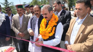 Dharech becomes Himachal’s first ‘green panchayat’