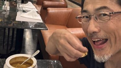 Odisha CM thanks Japan Ambassador for praising ‘Dalma’