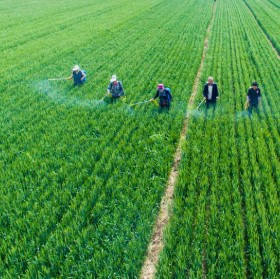 US flags China-linked illegal pesticide influx