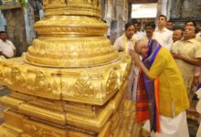 VP Radhakrishnan offers prayers at Tirumala temple