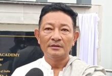 ‘Would overcome training challenges during monsoon’: Northeast cricket associations on indoor academies