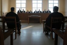 MP govt reorganises legal team for OBC reservation case